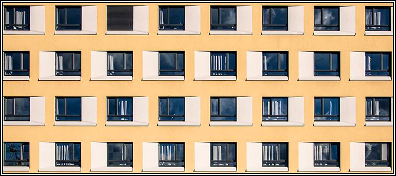 Foto des Monats